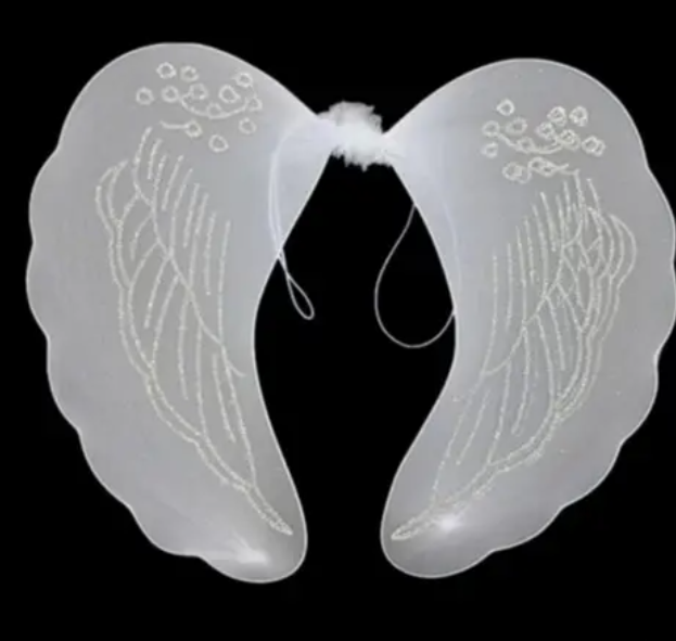 ASA ANJO REF YD 2045