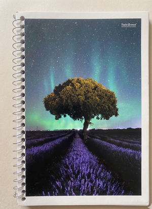 CADERNO ESPIRAL PEQUENO 48 FLS NEW 4316