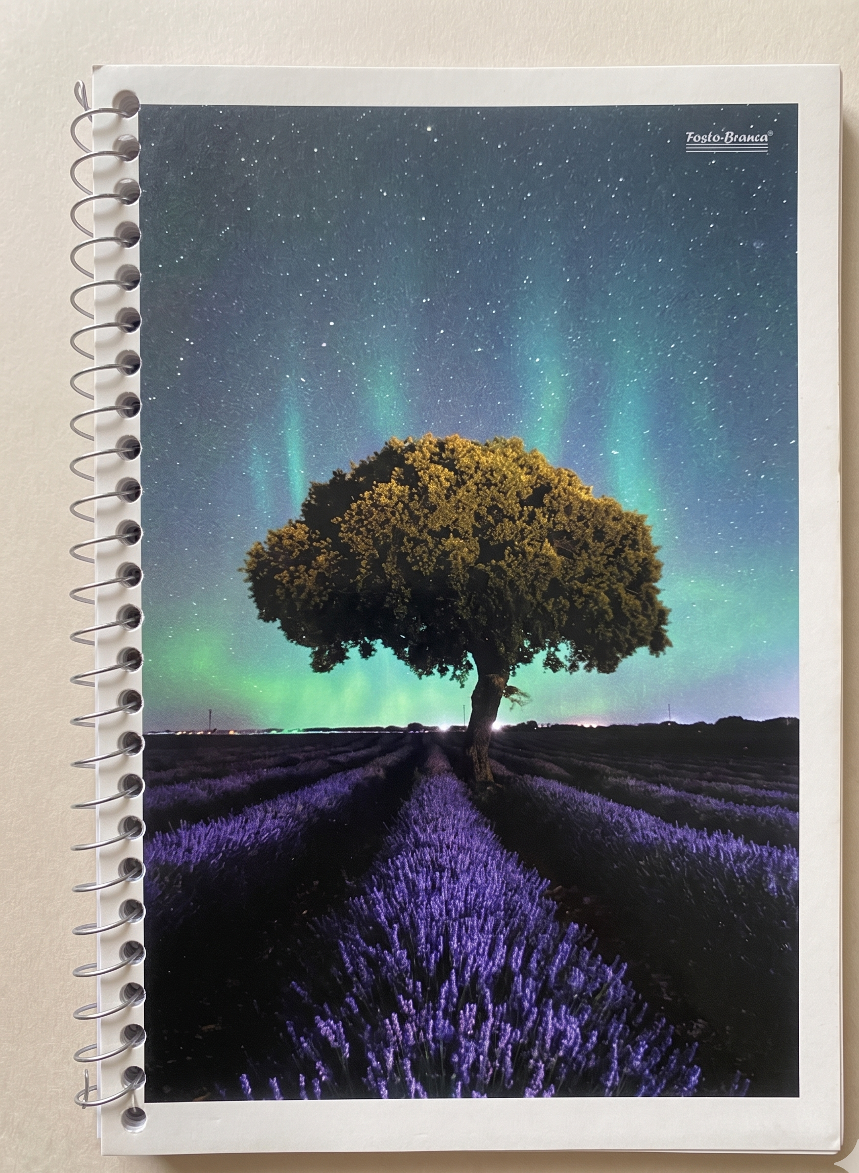 CADERNO ESPIRAL PEQUENO 48 FLS NEW 4316