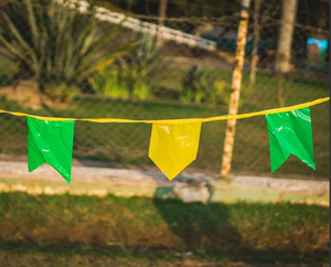 BANDEIRINHA PLASTICO 10M COPA VERDE AMARELO