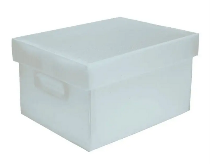 CAIXA ORGANIZADORA BEST BOX G NOVAONDA PLUS C PEGA CRISTAL