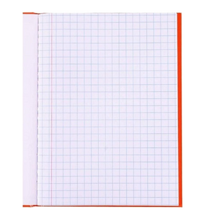 CADERNO BROCHURA QUADRICULADO 1X1 96 FLS JANDAIA