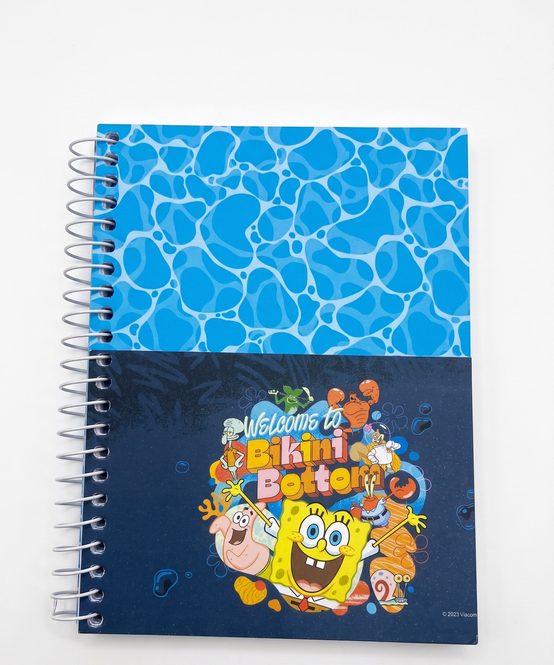 AGENDA DIARIA BOB ESPONJA 352 FLS JANDAIA