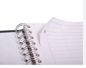 CADERNO 10M 6395 LEGION 160 FLS JANDAIA