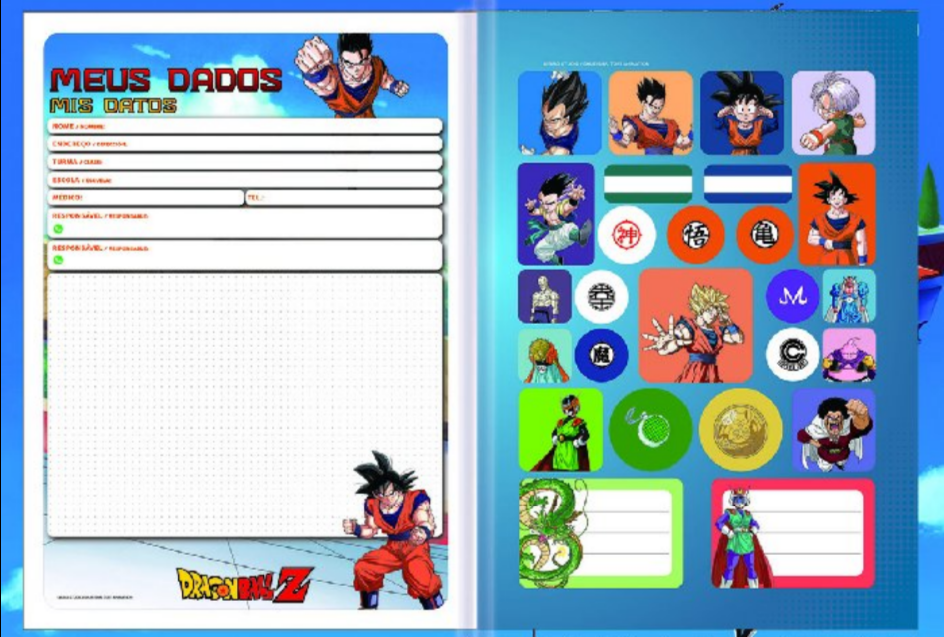 CADERNO BROCHURA DRAGON BALL Z 80 FLS 