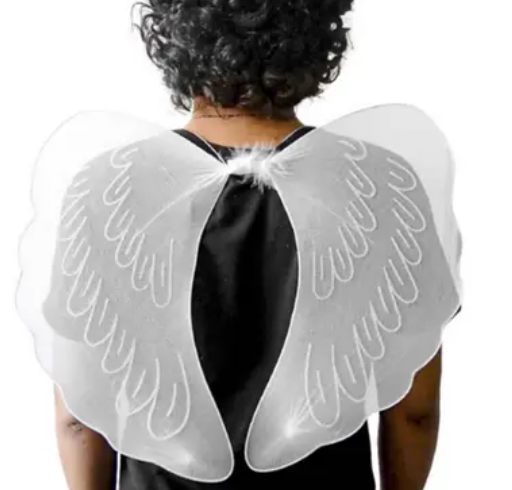 ASA ANJO REF YD 2045
