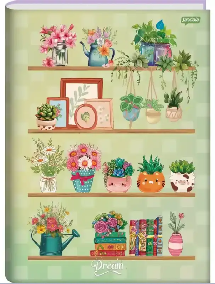 CADERNO BROCHURA PEQUENO DREAM JANDAIA 80 FLS