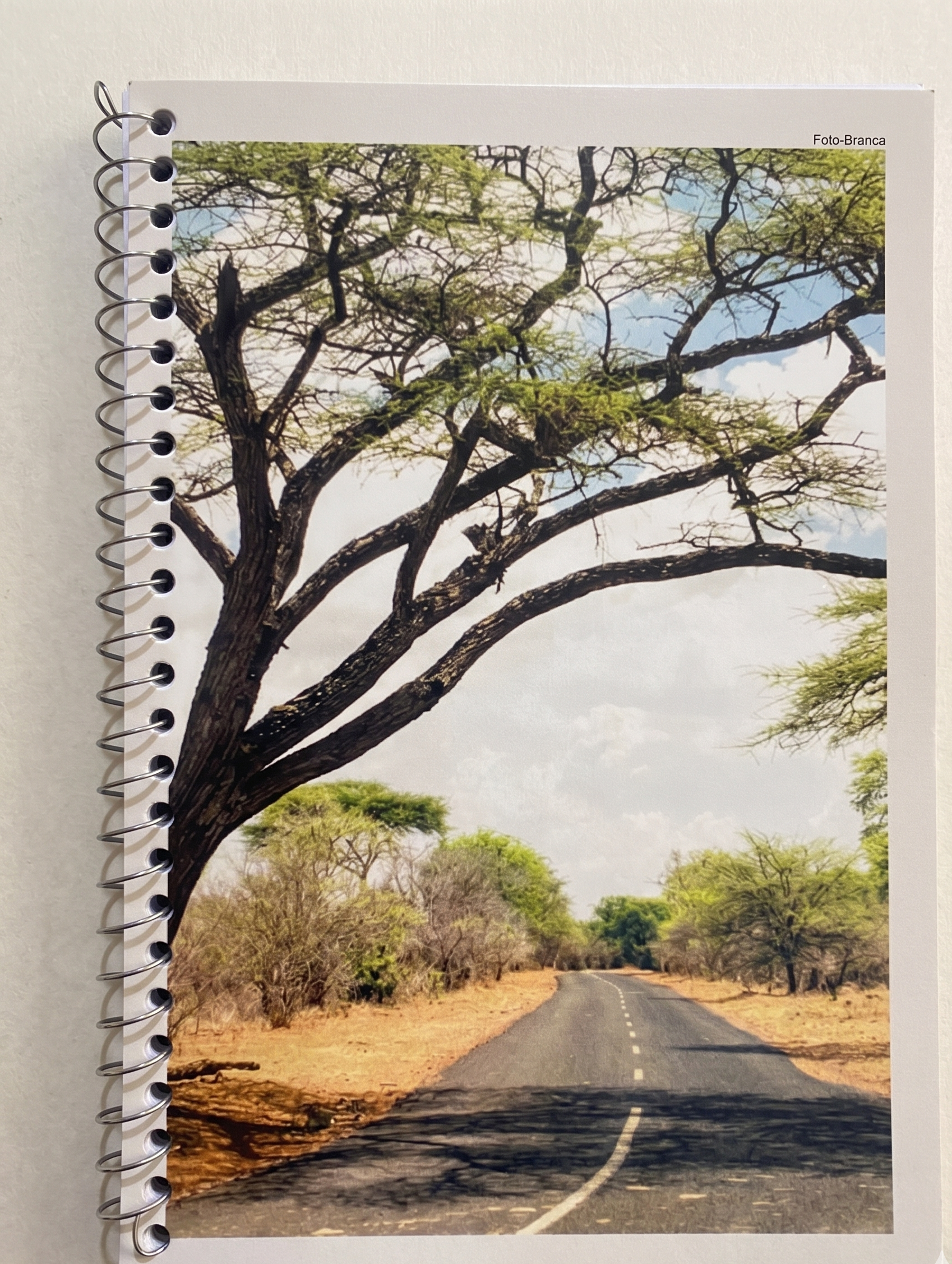CADERNO ESPIRAL PEQUENO 48 FLS NEW 4316