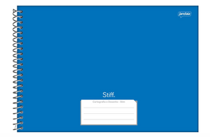 CADERNO DESENHO ESPIRAL STIFF 80 FLS 
