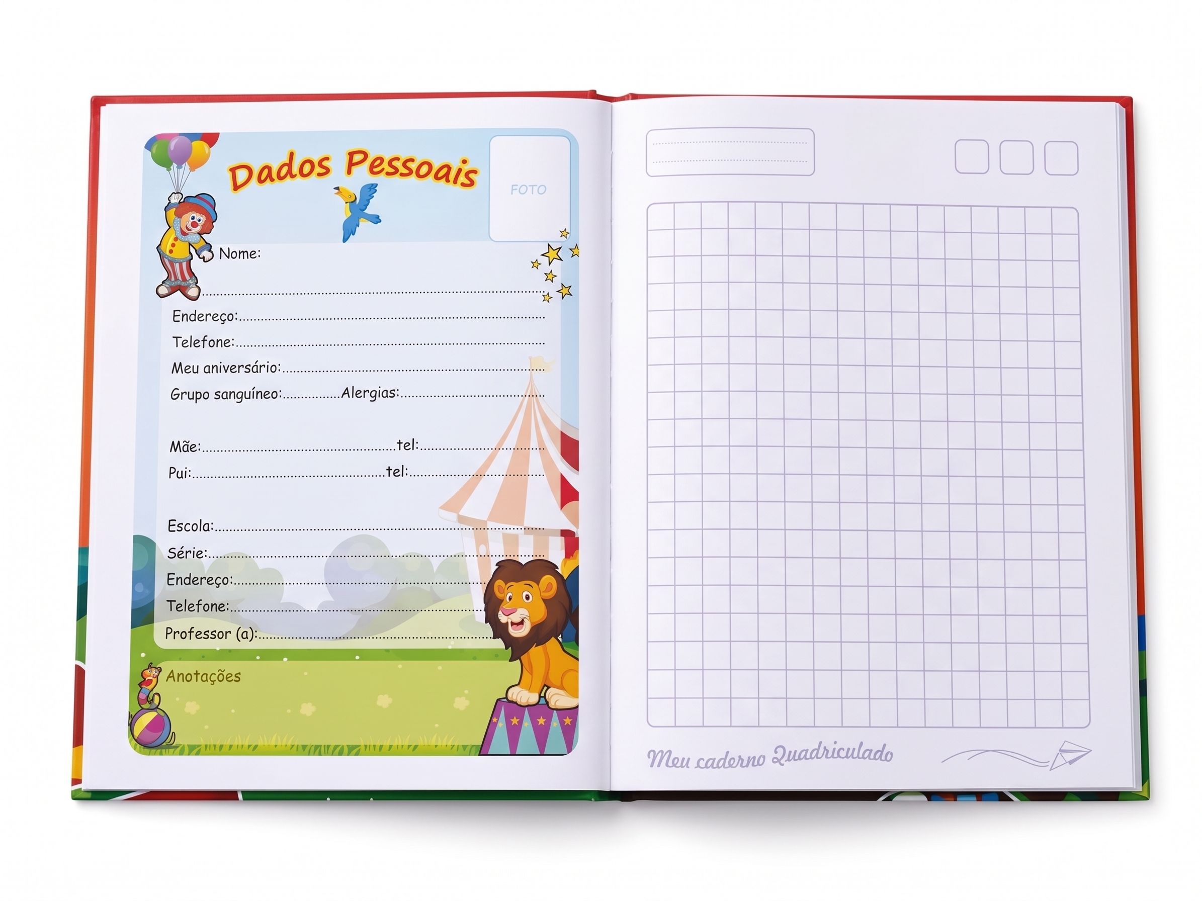 CADERNO QUADRICULADO ARITMETICA 10MM SÃO DOMINGOS 40 FLS