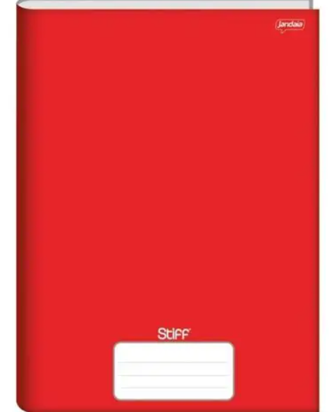 CADERNO BROCHURA UNIV GRANDE STIFF CORES  48 FLS 