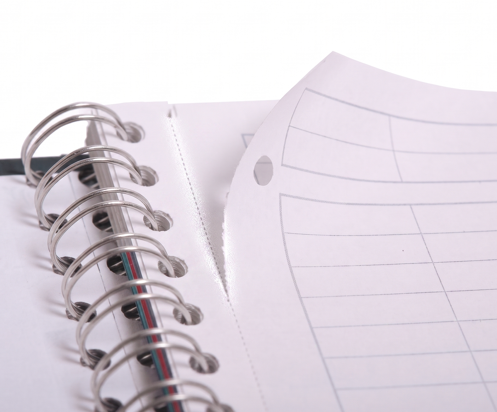 CADERNO 1M ESPIRAL CAPY LOVERS 80 FLS 