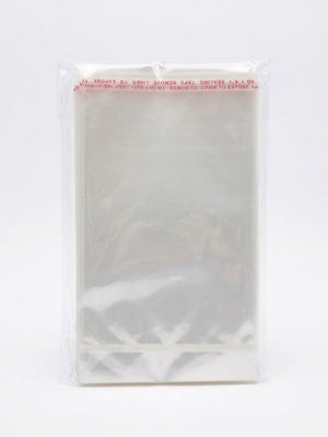 SACO FECHAMENTO 10X15CM 100 UND 39028