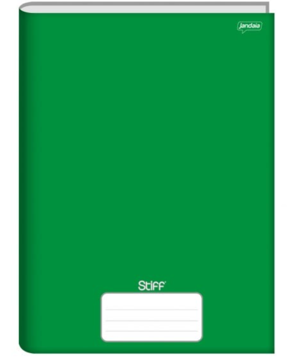 CADERNO BROCHURA UNIV GRANDE STIFF CORES  48 FLS 