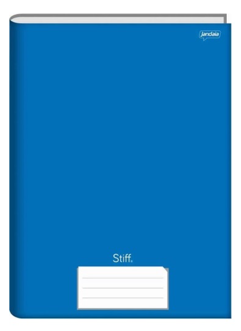 CADERNO BROCHURA UNIV GRANDE STIFF CORES  48 FLS 