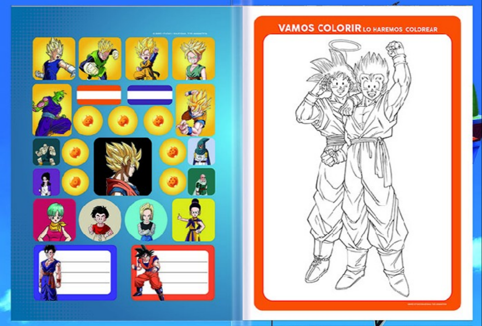 CADERNO BROCHURA DRAGON BALL Z 80 FLS 