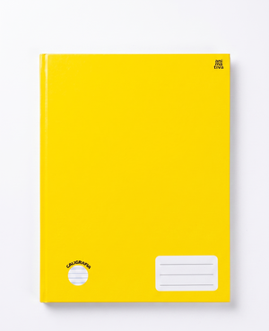 CADERNO CALIGRAFIA BROCHURA ANIMATIVA 48 FLS 