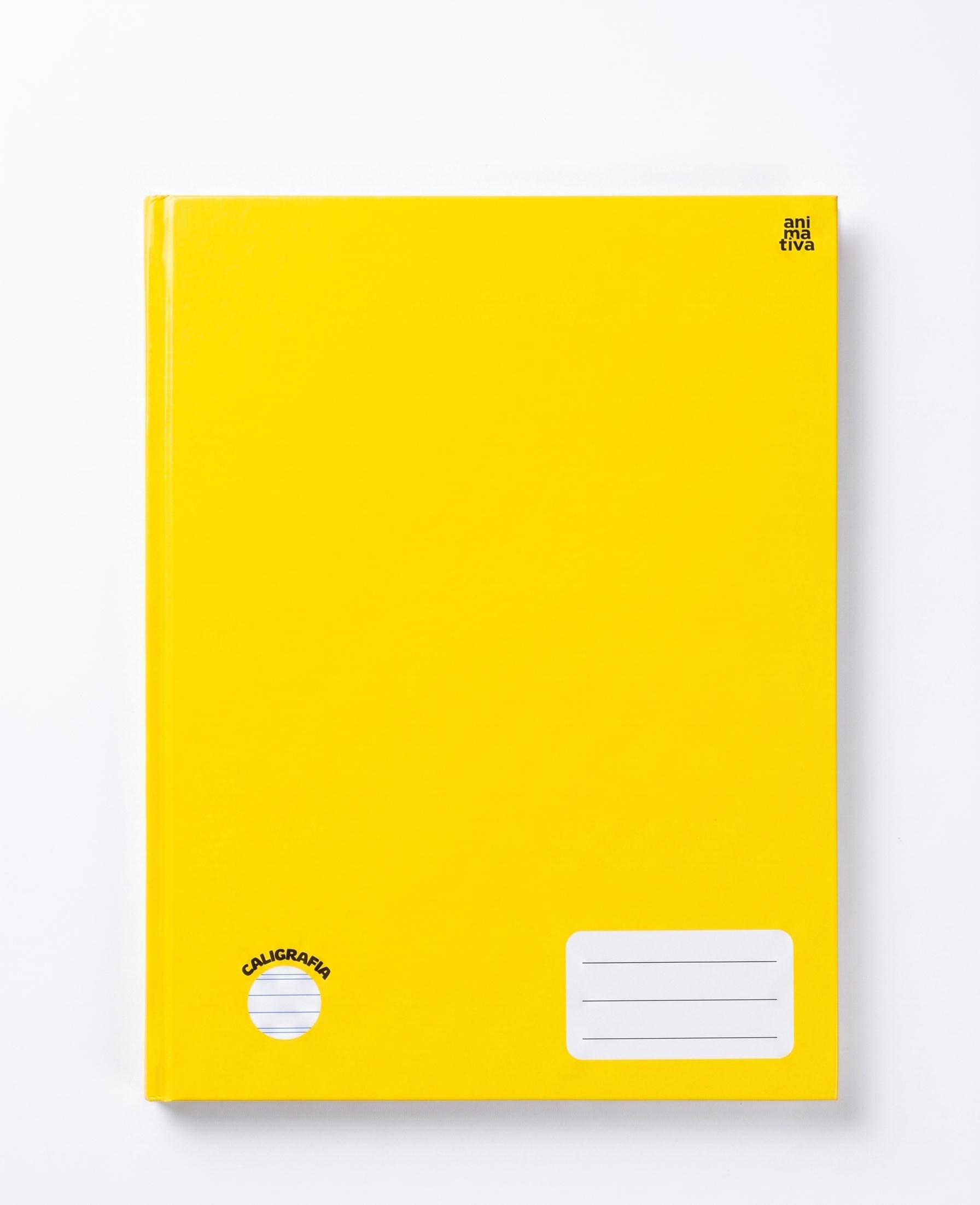 CADERNO CALIGRAFIA BROCHURA ANIMATIVA 48 FLS 