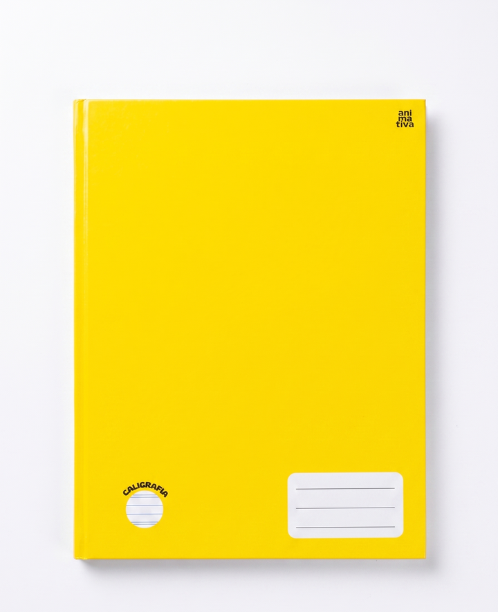 CADERNO CALIGRAFIA BROCHURA ANIMATIVA 48 FLS 