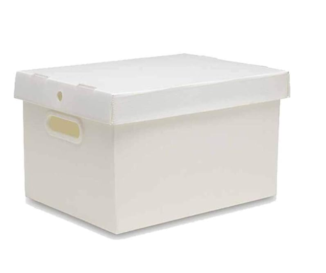 CAIXA ORGANIZADORA BEST BOX M NOVAONDA PLUS C PEGA CRISTAL