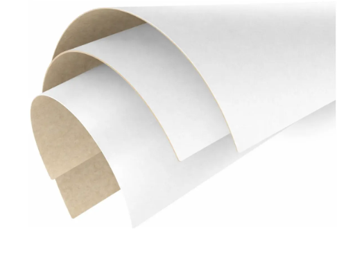 PAPEL CARTÃO BRANCO 48X66 VMP