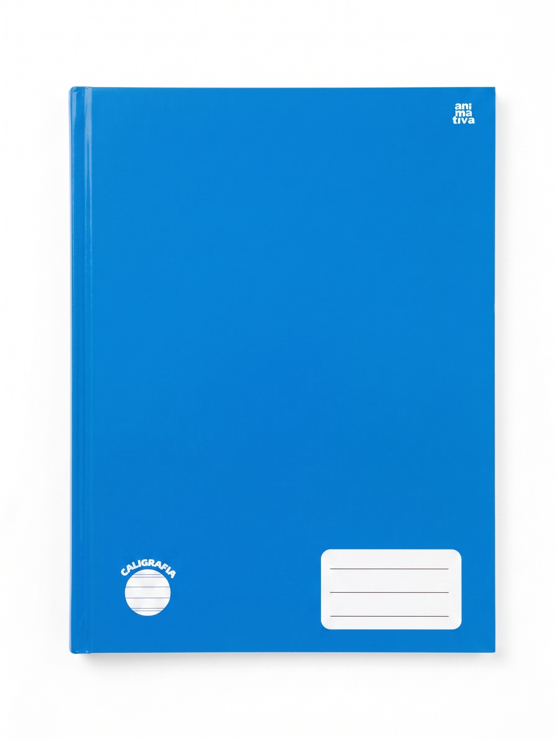 CADERNO CALIGRAFIA BROCHURA ANIMATIVA 48 FLS 