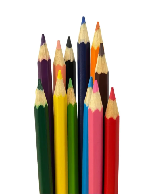 LAPIS COR  MULTI COLOR MADEIRA 12 CORES