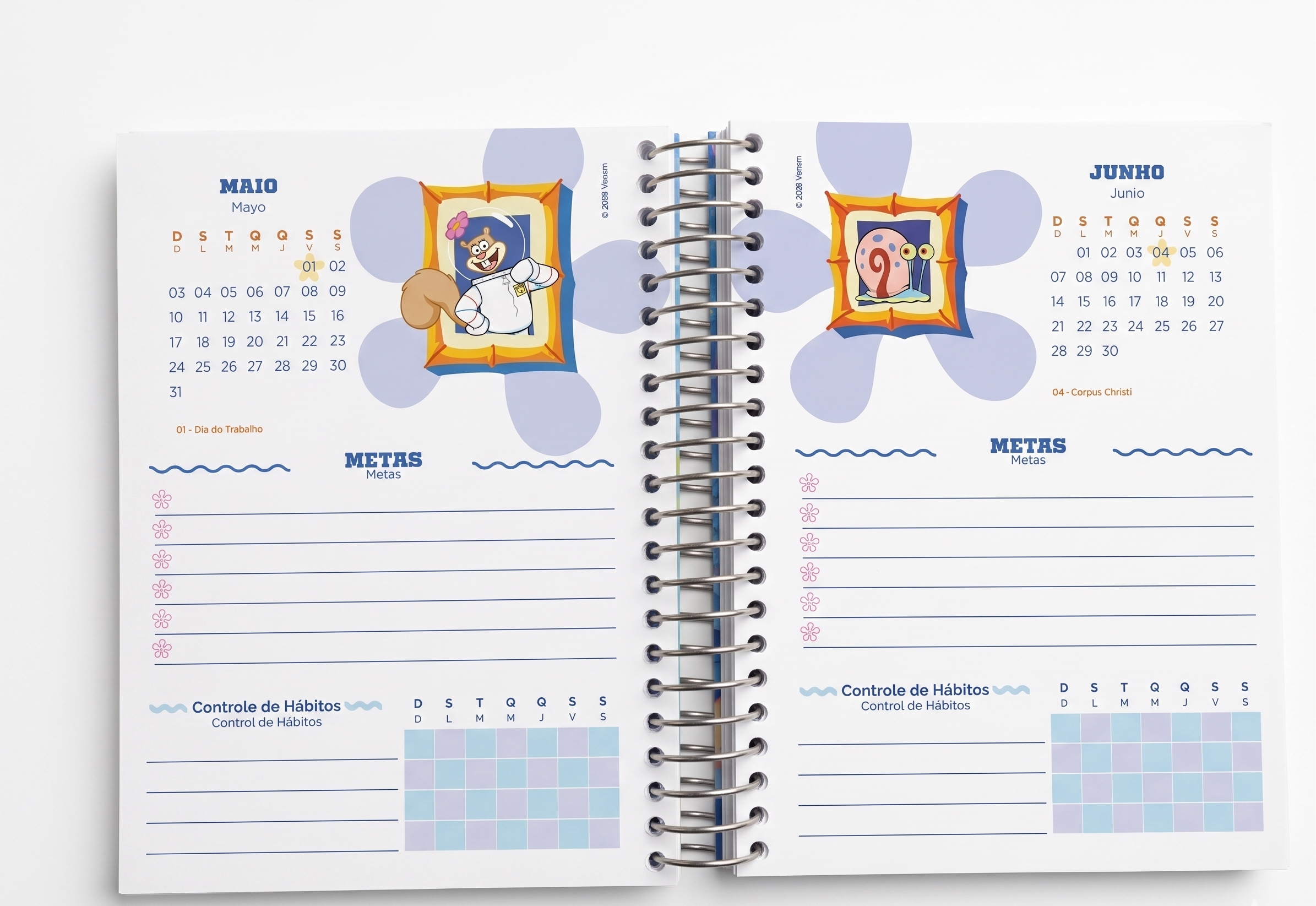 AGENDA DIARIA BOB ESPONJA 352 FLS JANDAIA