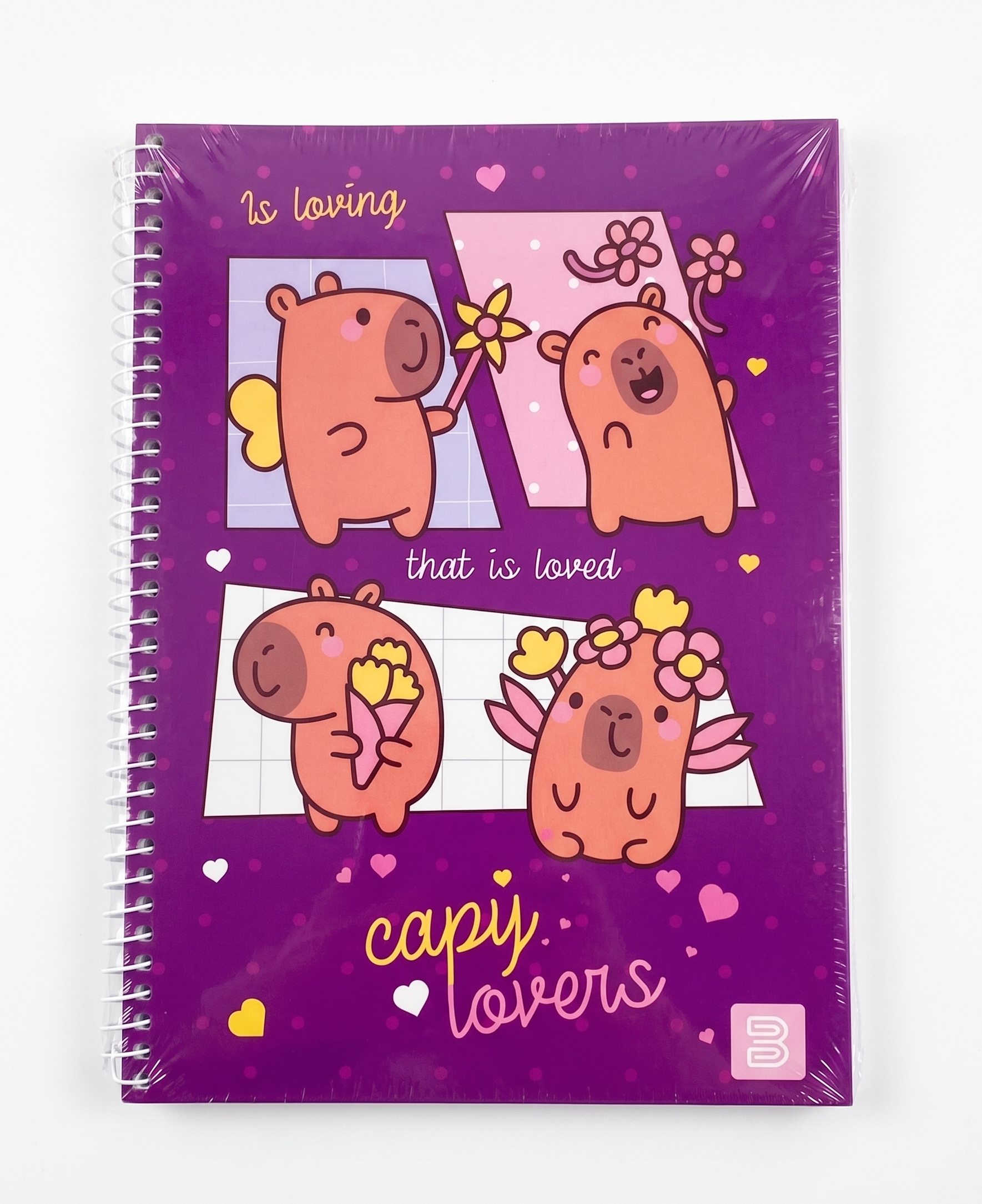CADERNO 10M 2434 CAPY LOVERS 160 FLS JANDAIA